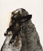 尚扬作品