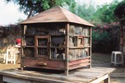 隋建国作品