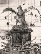 杨越作品