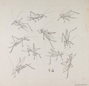 张继馨作品