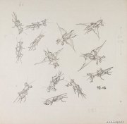 张继馨作品