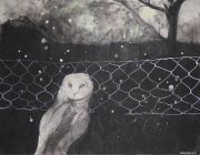刘爱婧作品