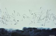 程向君作品