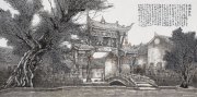 张祖全作品