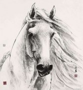孙海晨作品