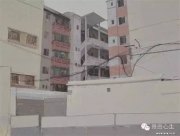 唐亮作品