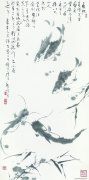 康宁作品