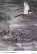 鲁双喜作品