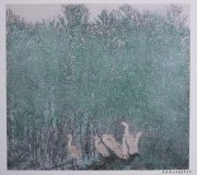 王冉作品