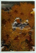 李克友作品