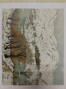 王畅怀作品