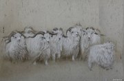 李述明作品