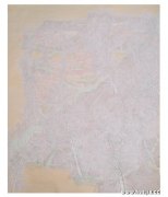 曾逸云作品