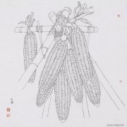 杨悦浦作品