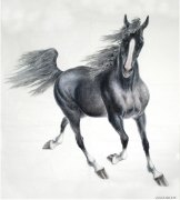 雷晓宁作品