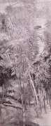 莫晓松作品