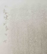 刘璐璐作品