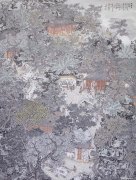 林树昭作品
