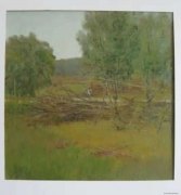 吴达清作品