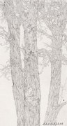 李素艳作品