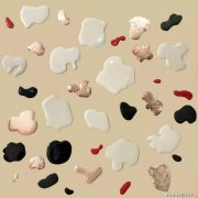 吴亚娟作品