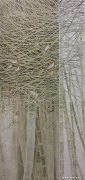 余善红作品