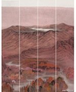孙向阳作品