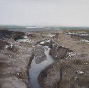 涂蓉蓉作品