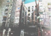 王兴华作品