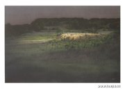 李晶晶作品