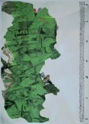 蔡宝国作品