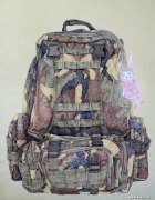 王文作品