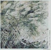 张洪岩作品