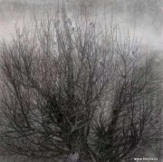 周启朋作品