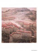 王晓岚作品