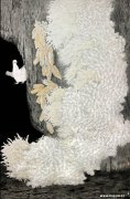 梁国荣作品