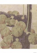 钟武红作品