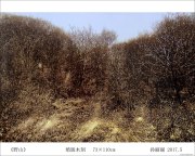 孙丽丽作品