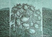 陈洪伟作品