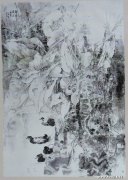 徐兵作品