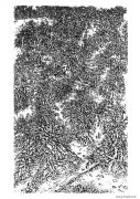 黄沛沛作品