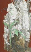杨清军作品