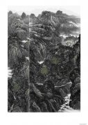 卢建绪作品