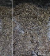 韩正鑫作品