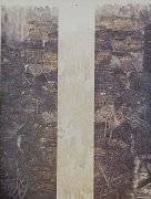 田其斌作品