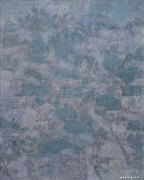 吴贞光作品
