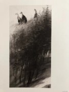 刘月作品