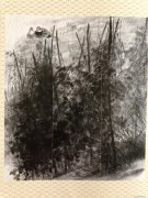 刘月作品