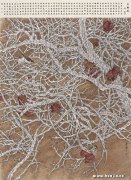 李金岭作品