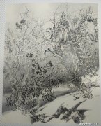 常洪周作品